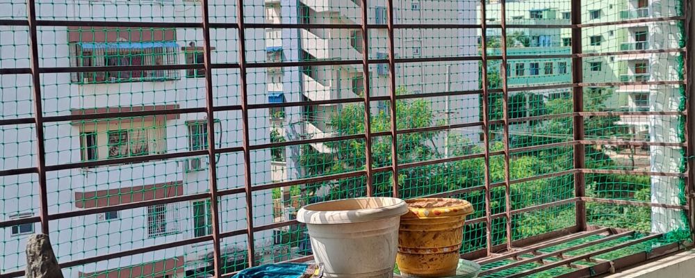 Pigeon Nets Price Per Square Feet in Chennai